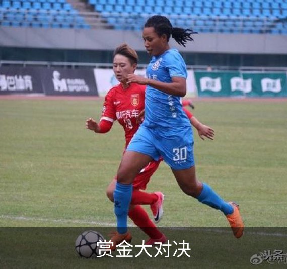 赏金大对决品牌故事